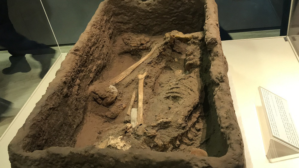 القومي للحضارة