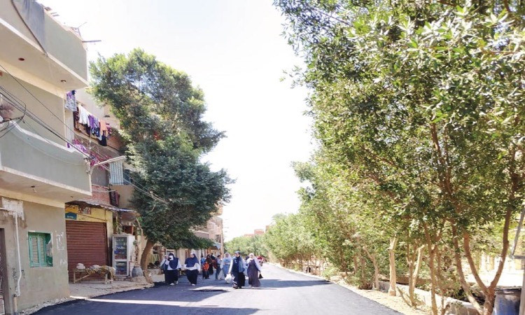 الأنصاري: الفيوم تطلق 57 مشروعًا لتطوير الطرق والنقل