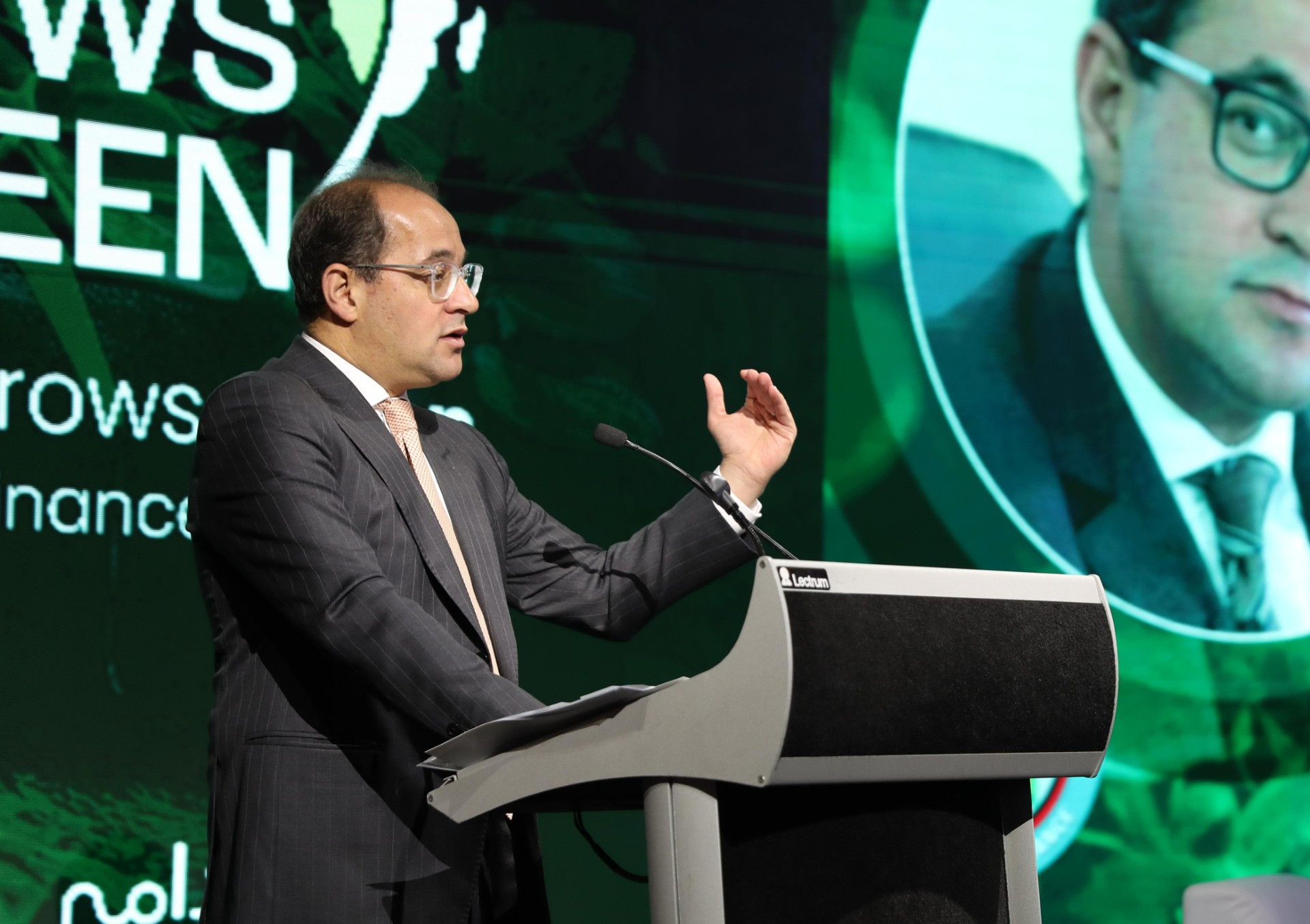 وزير المالية