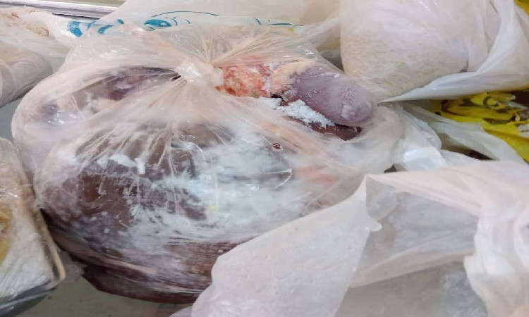 الإسماعيلية1