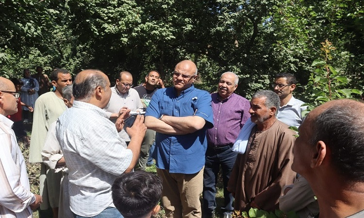 محافظ القليوبية يتفقد مزارع المشمش بقرية العمار