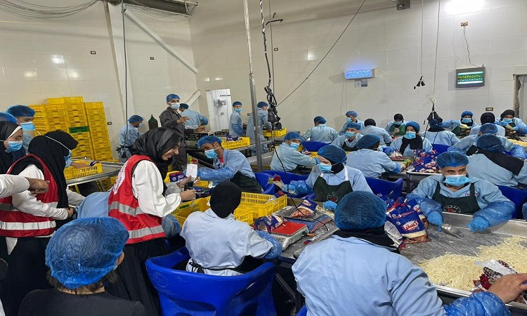 القليوبية تنظم زيارة للشباب للمنطقة الاستثمارية ببنها