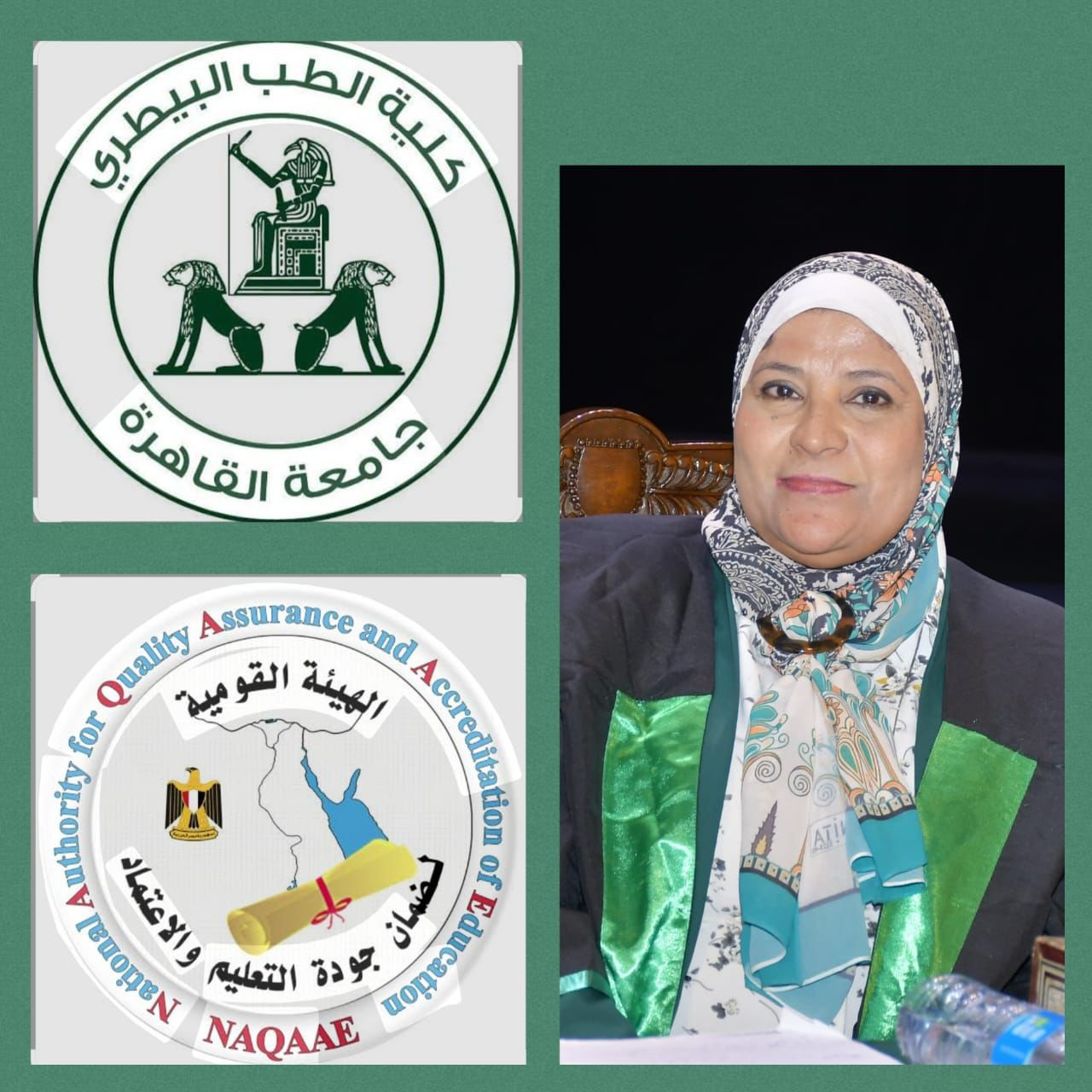 جامعة القاهرة