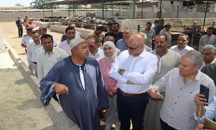 محافظ القليوبية يتفقد إحدى مزارع تربية الثروة الحيوانية بقرية العمار