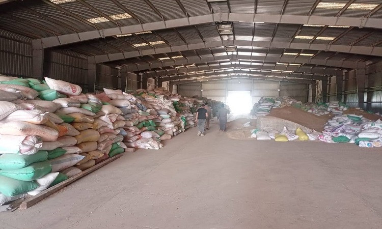 محافظ المنوفية: توريد 100 ألف طن من القمح منذ بداية الموسم وحتى الآن