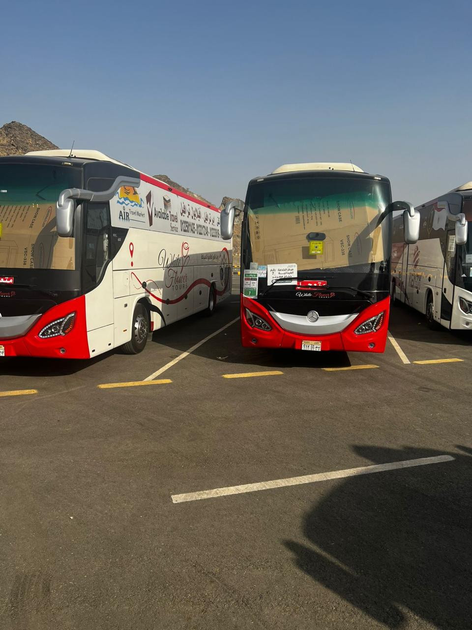 وصول طلائع حجاج السياحة إلى عرفات