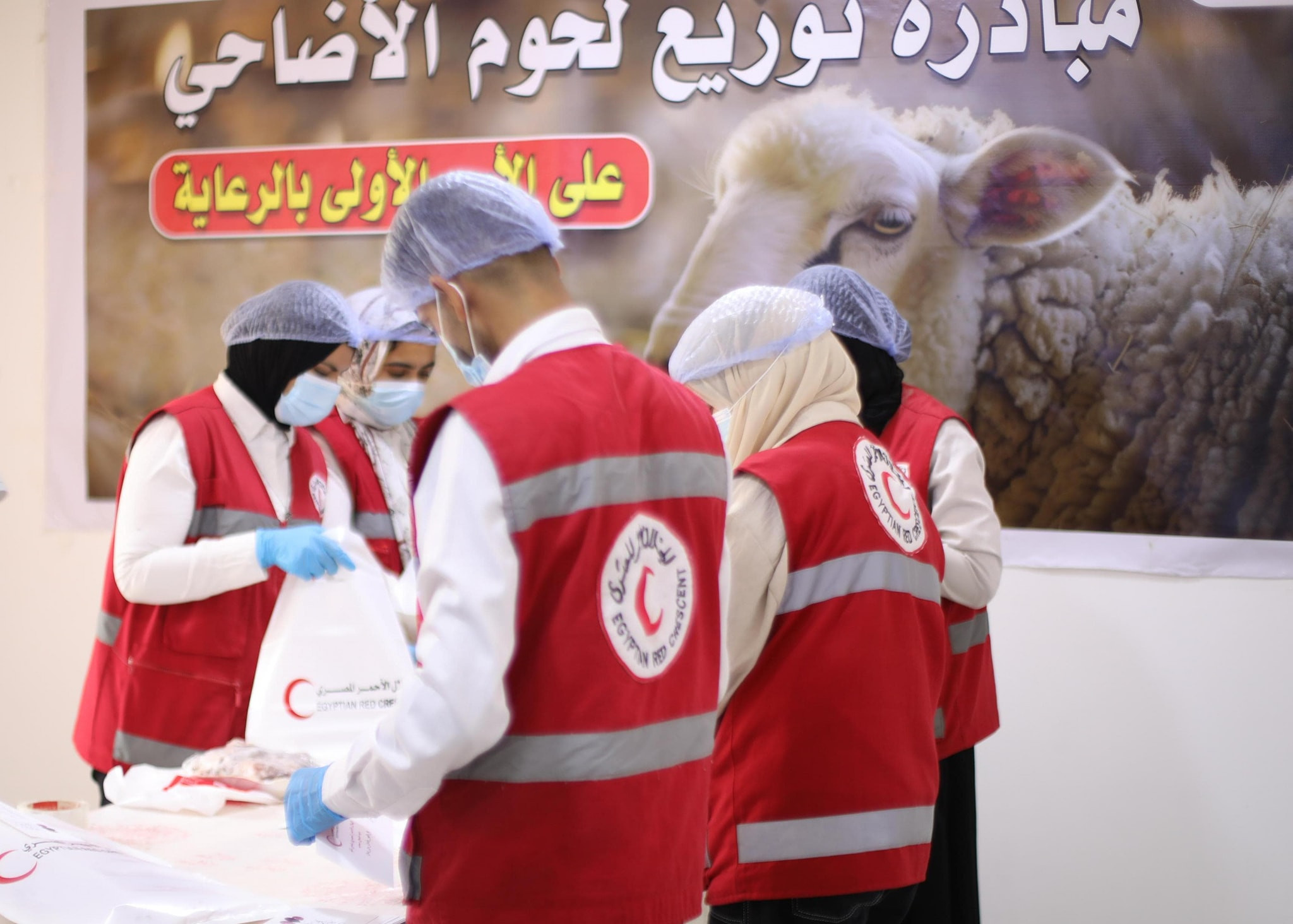 توزيع اللحوم