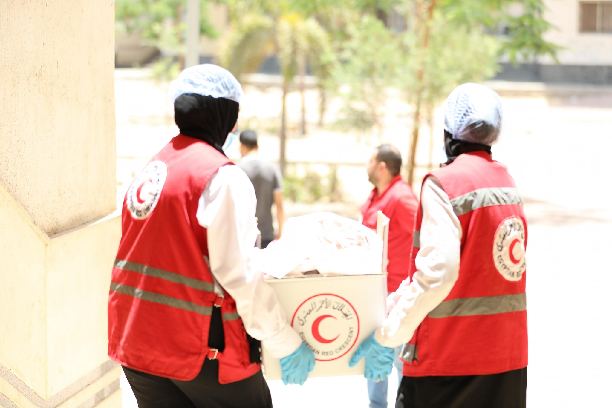 توزيع اللحوم