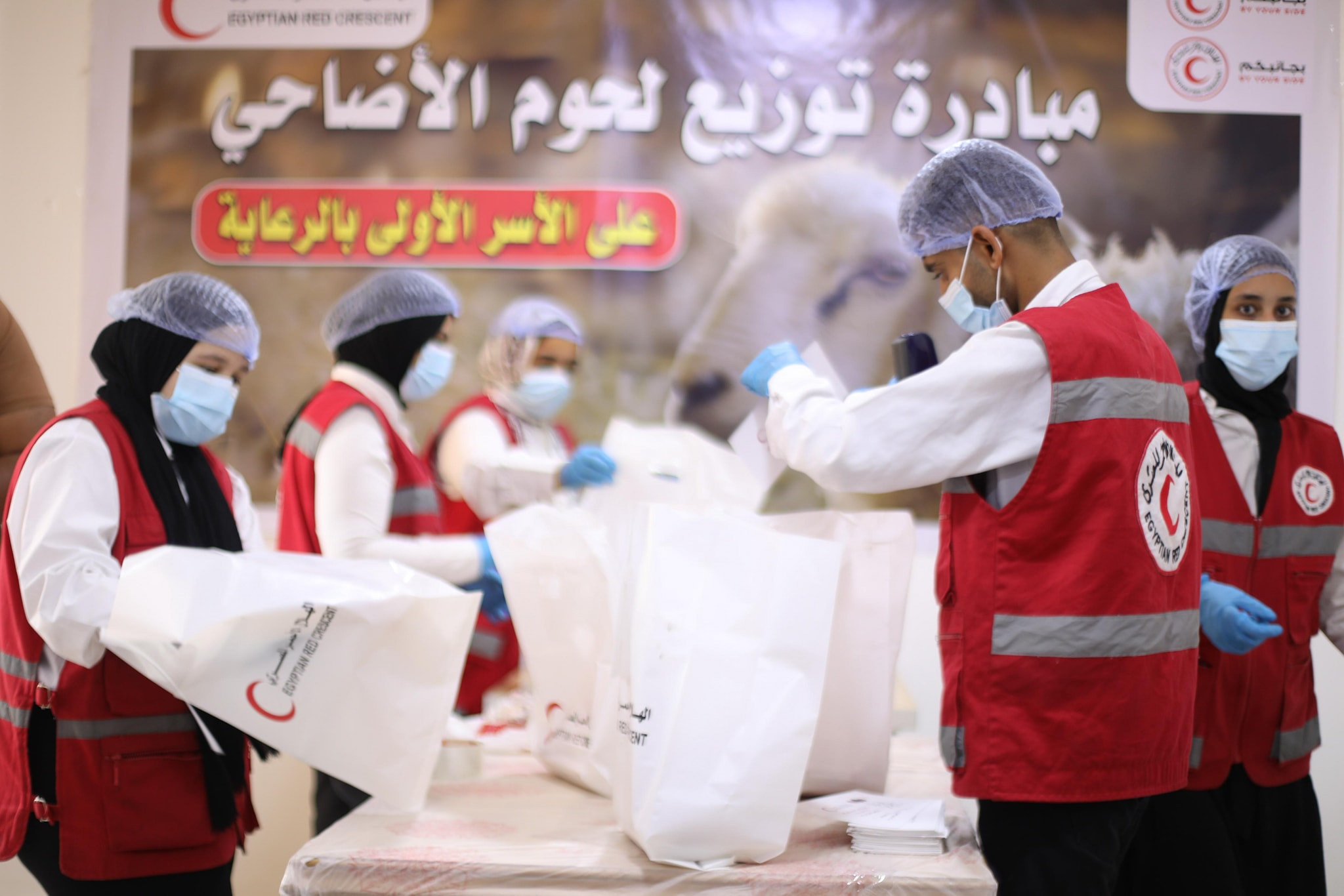 توزيع اللحوم