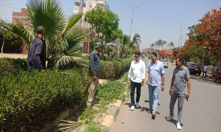 سكرتير عام المنوفية يتابع ملفات التصالح وأعمال التشجير بأشمون والباحور