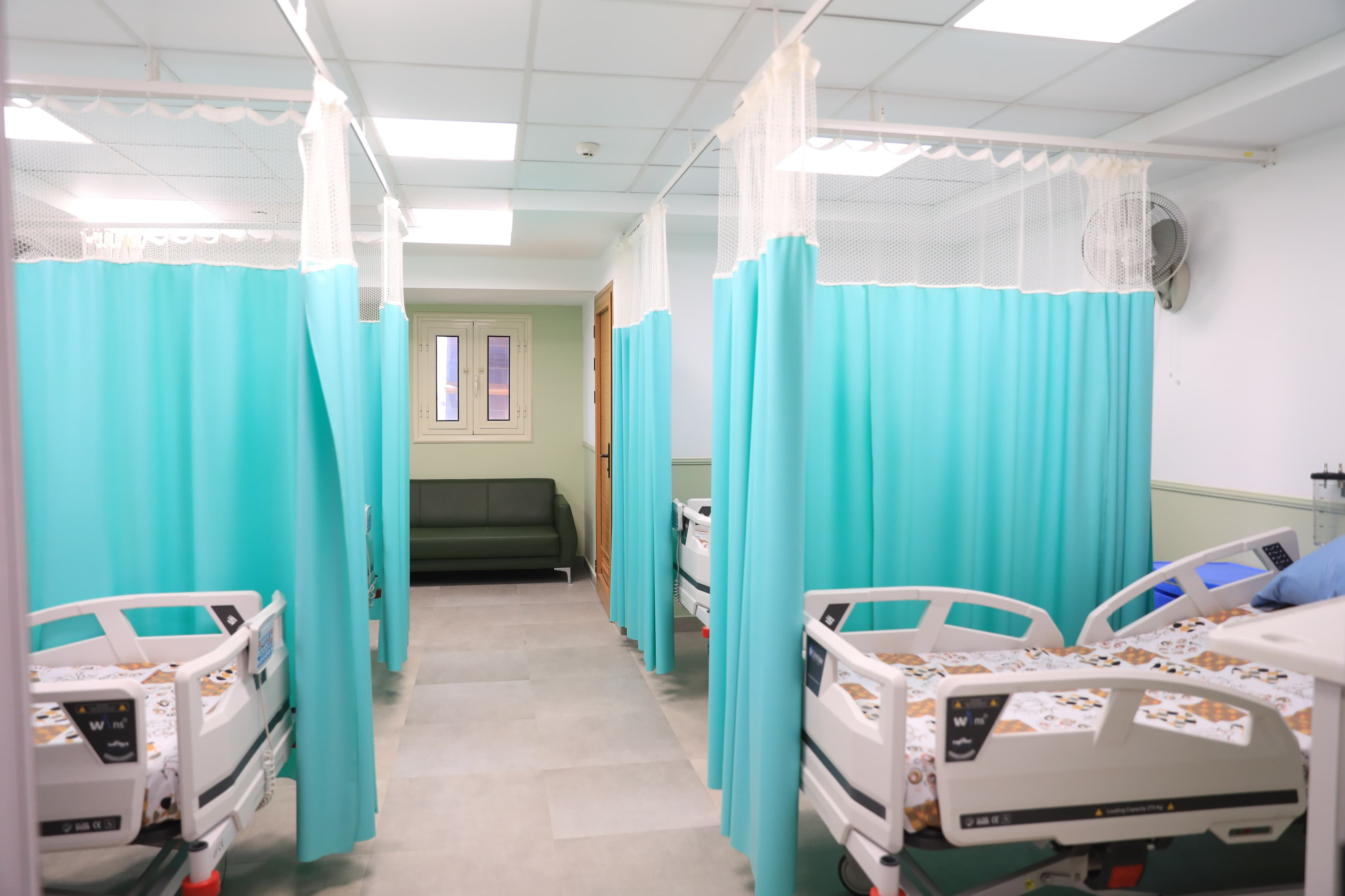 التعليم العالي