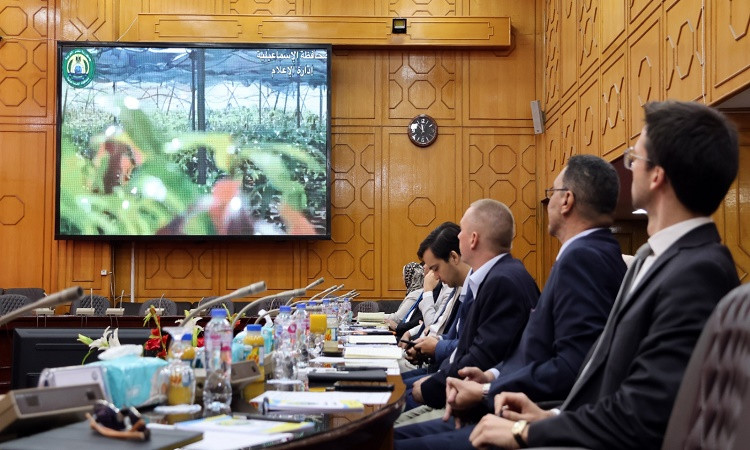 م الإسماعيلية