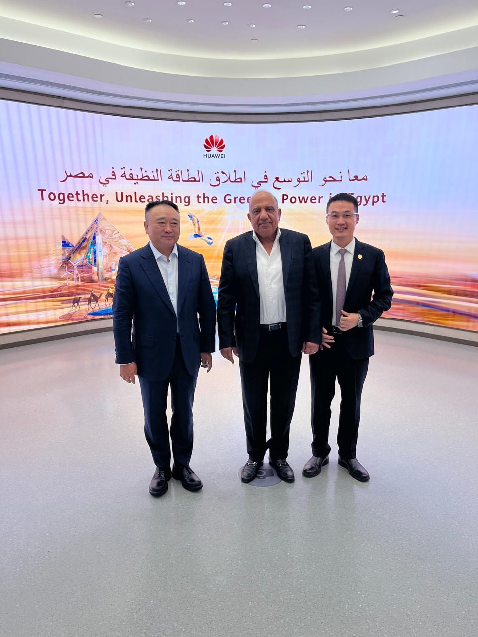 وزير الكهرباء