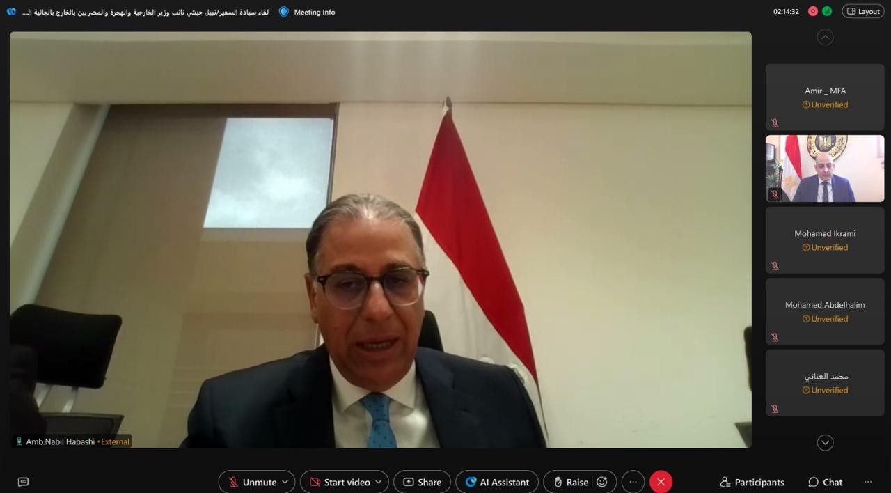 السفير نبيل حبشي