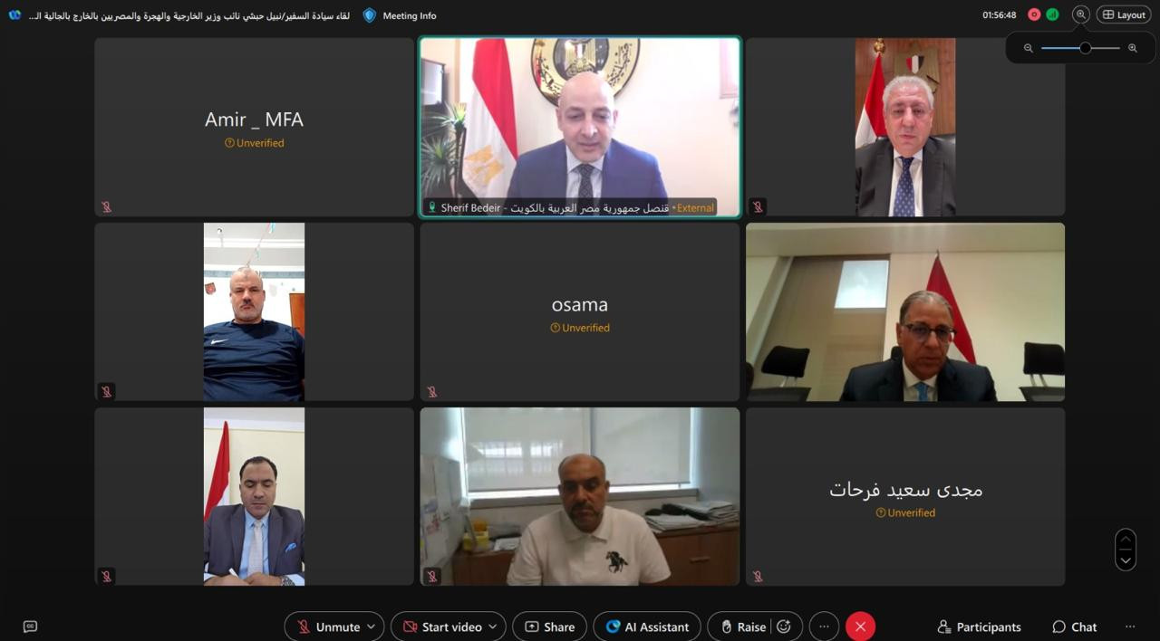 السفير نبيل حبشي