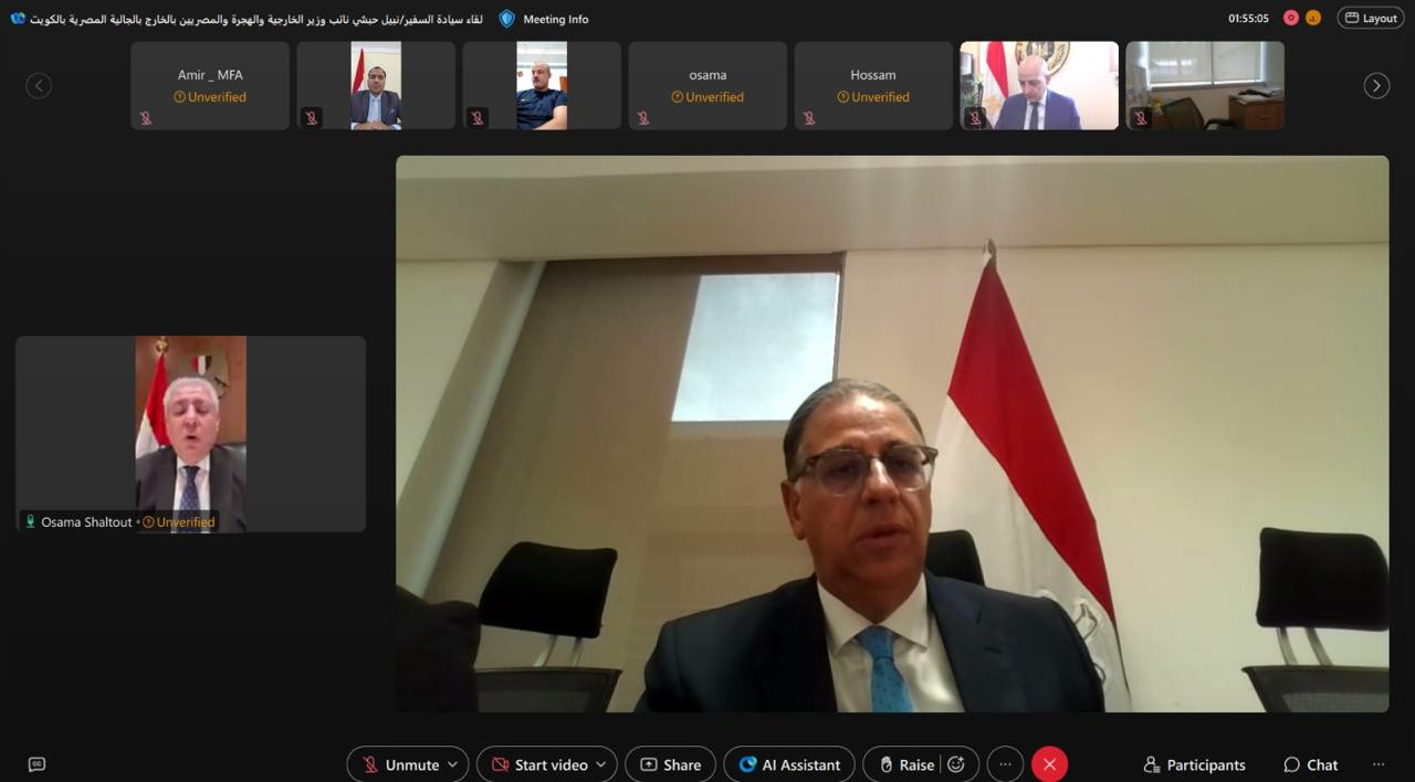 السفير نبيل حبشي