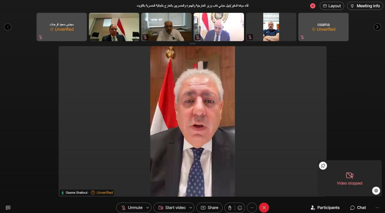 السفير نبيل حبشي