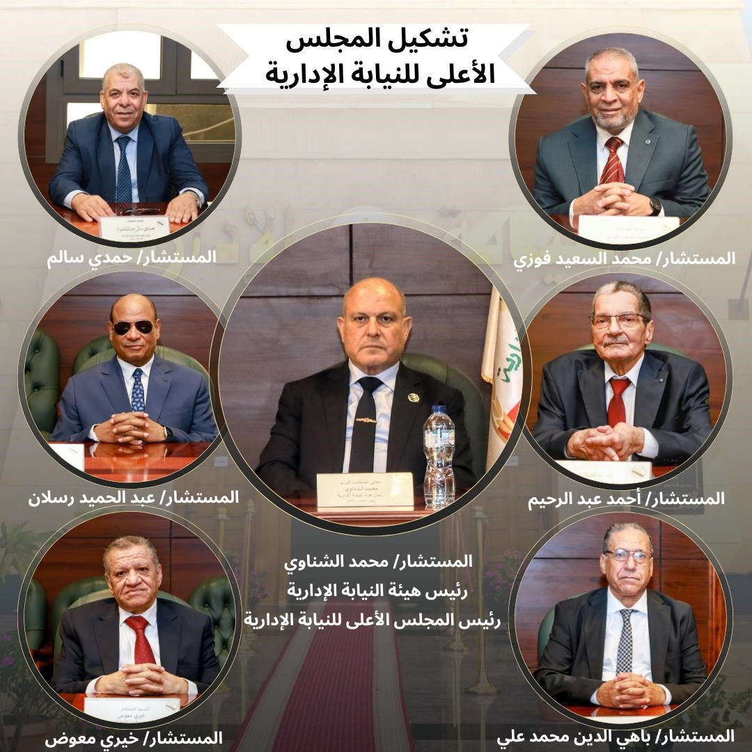 نيابة ادارية