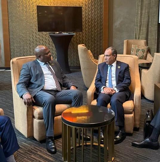 لقاءات وزير الخارجية