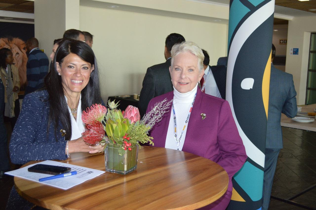 المشاط تناقش مخرجات اجتماعات وزراء التنمية بمجموعة العشرين