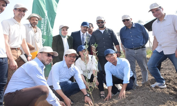 رئيس جامعة بنها يشهد زراعة 1000 شتلة زيتون بكلية الزراعة بمشتهر