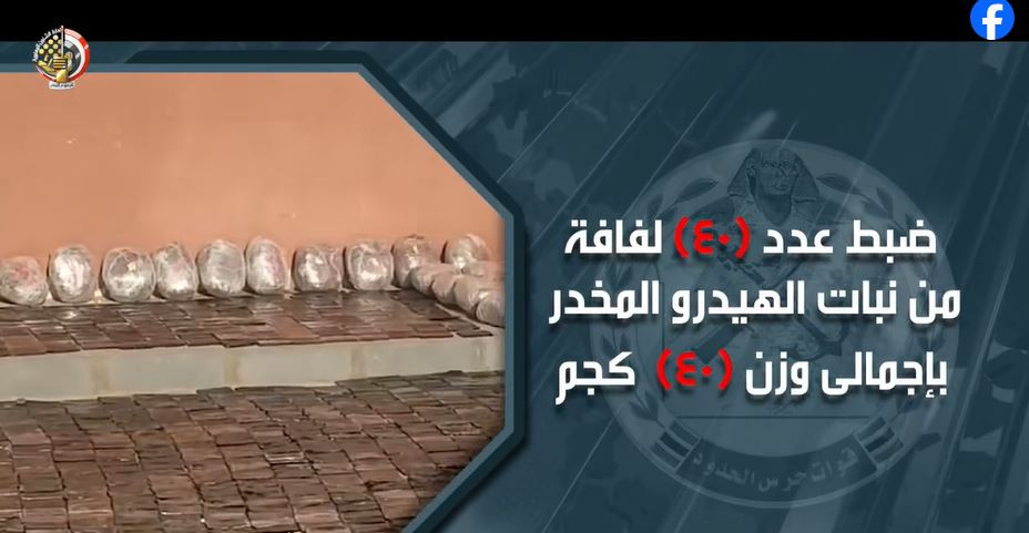 القوات المسلحة