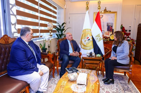 التنمية المحلية