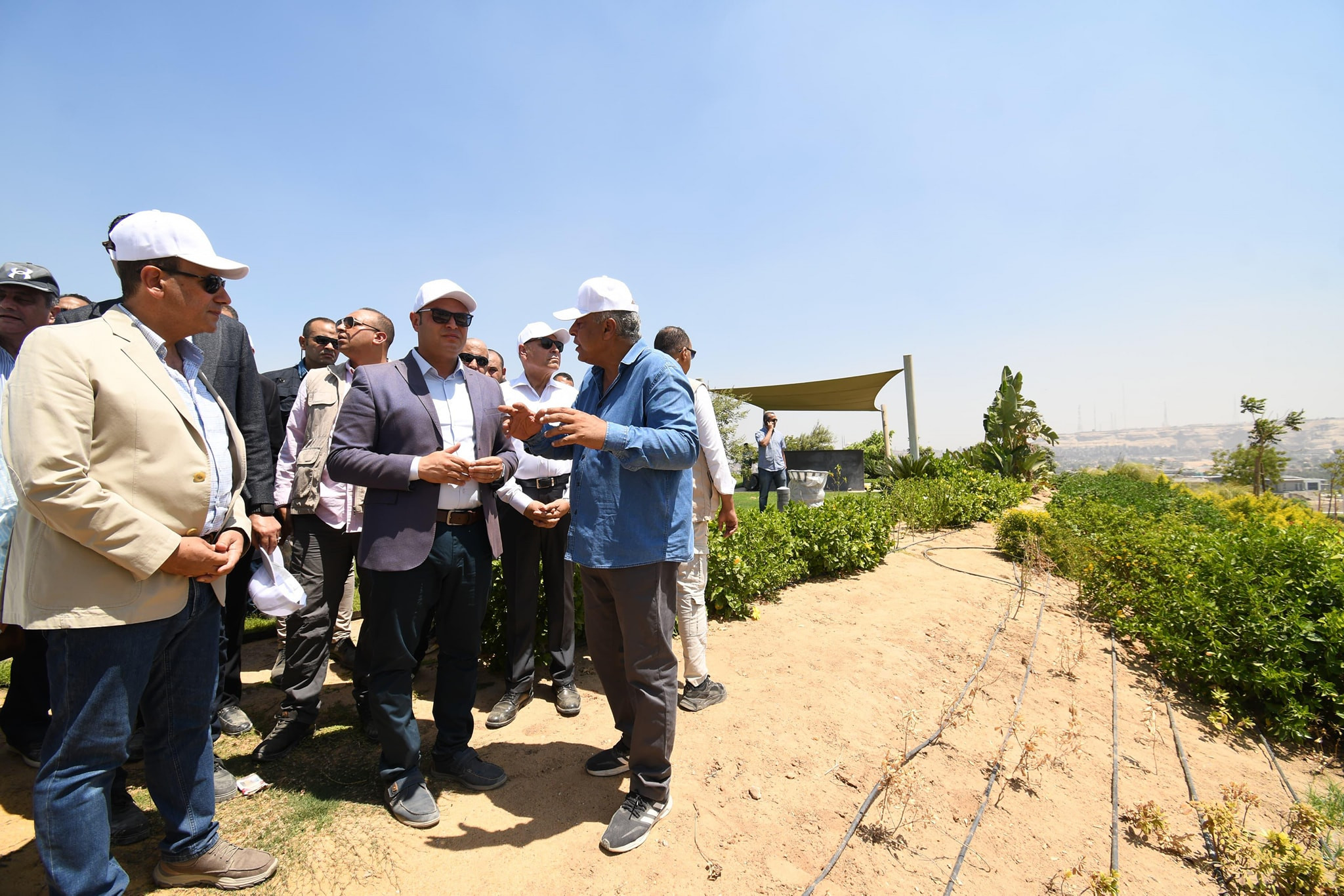 مصر القديمة