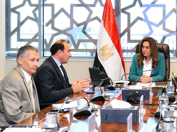 التنمية المحلية