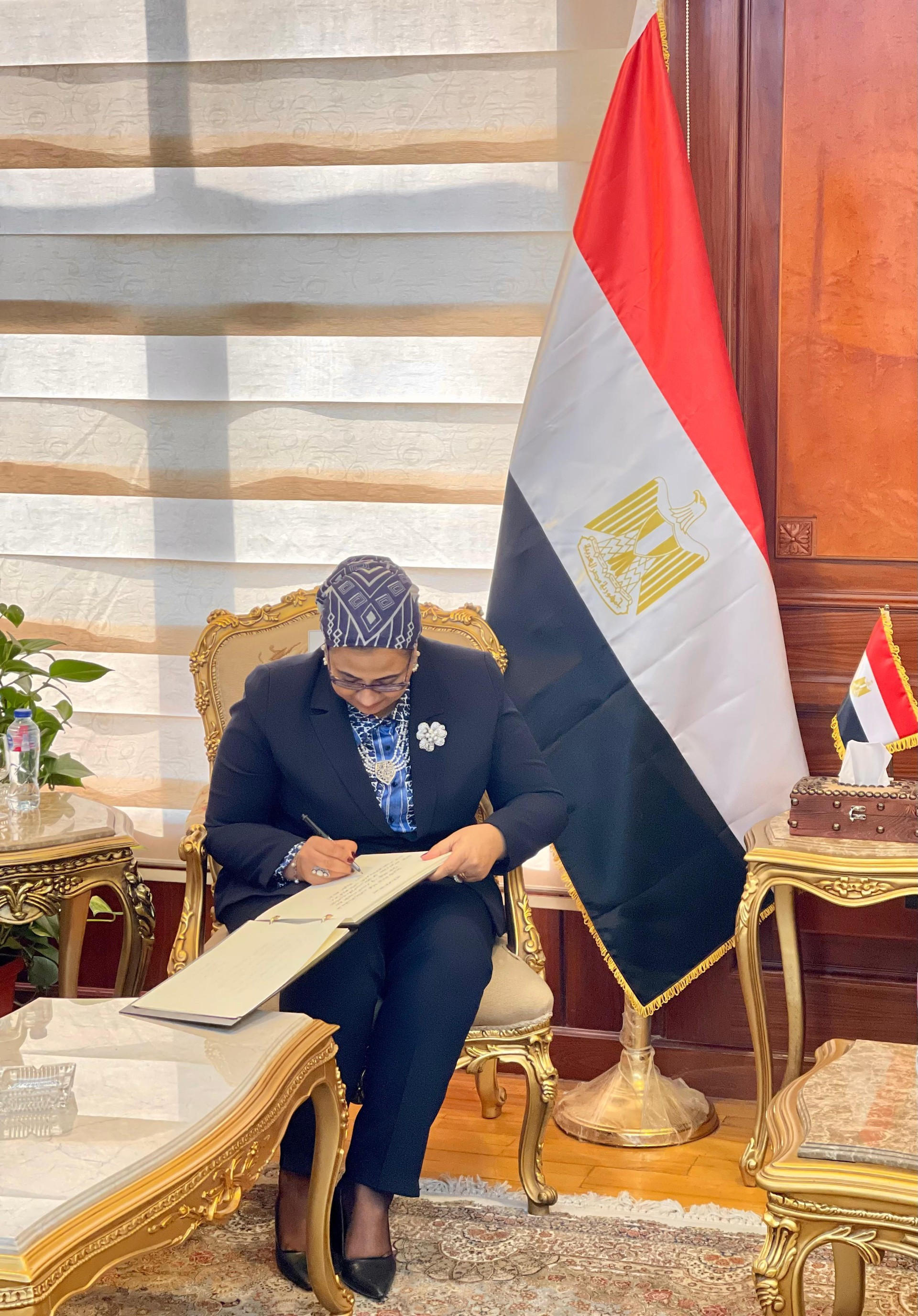 النيابة الادارية