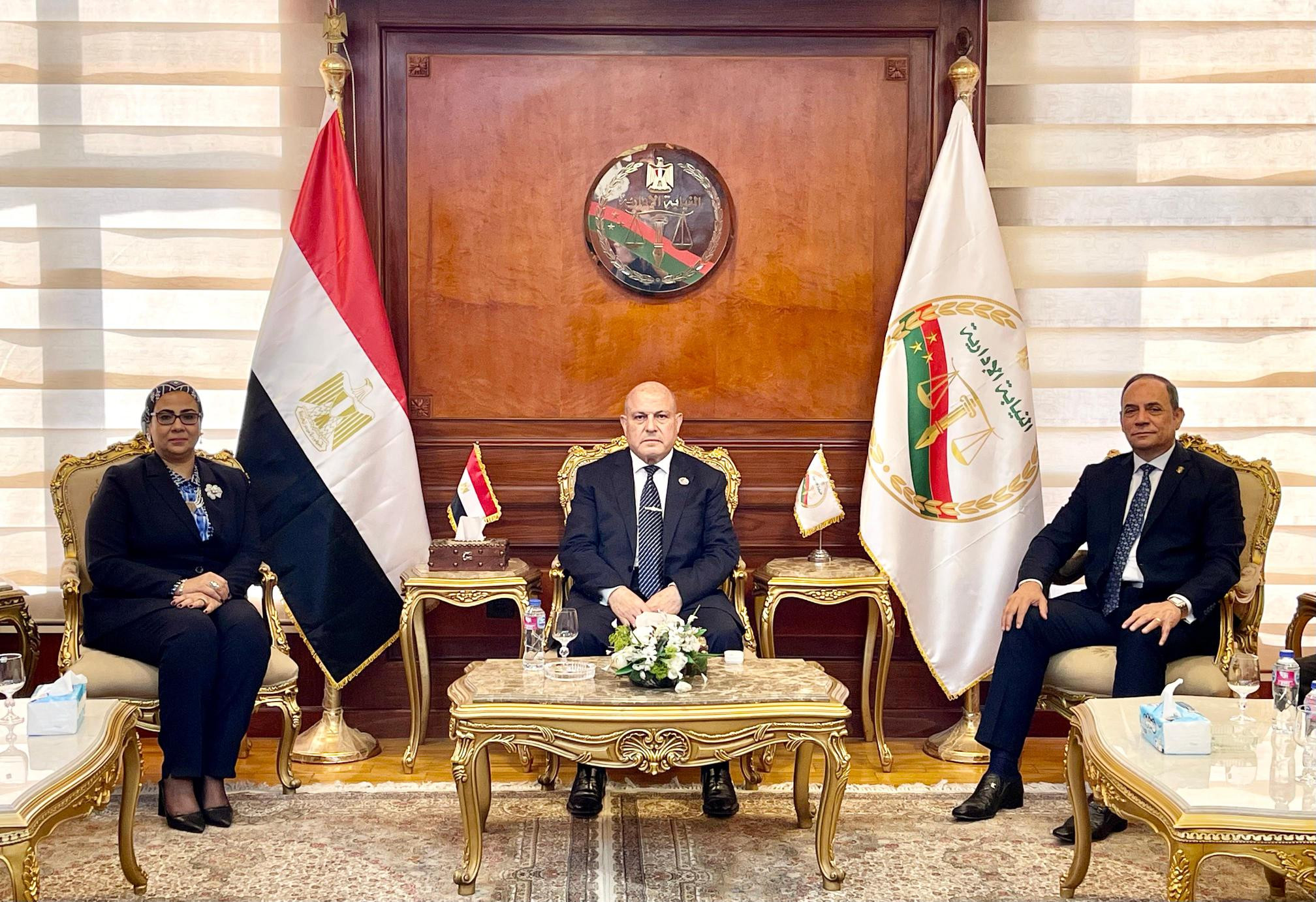 النيابة الادارية