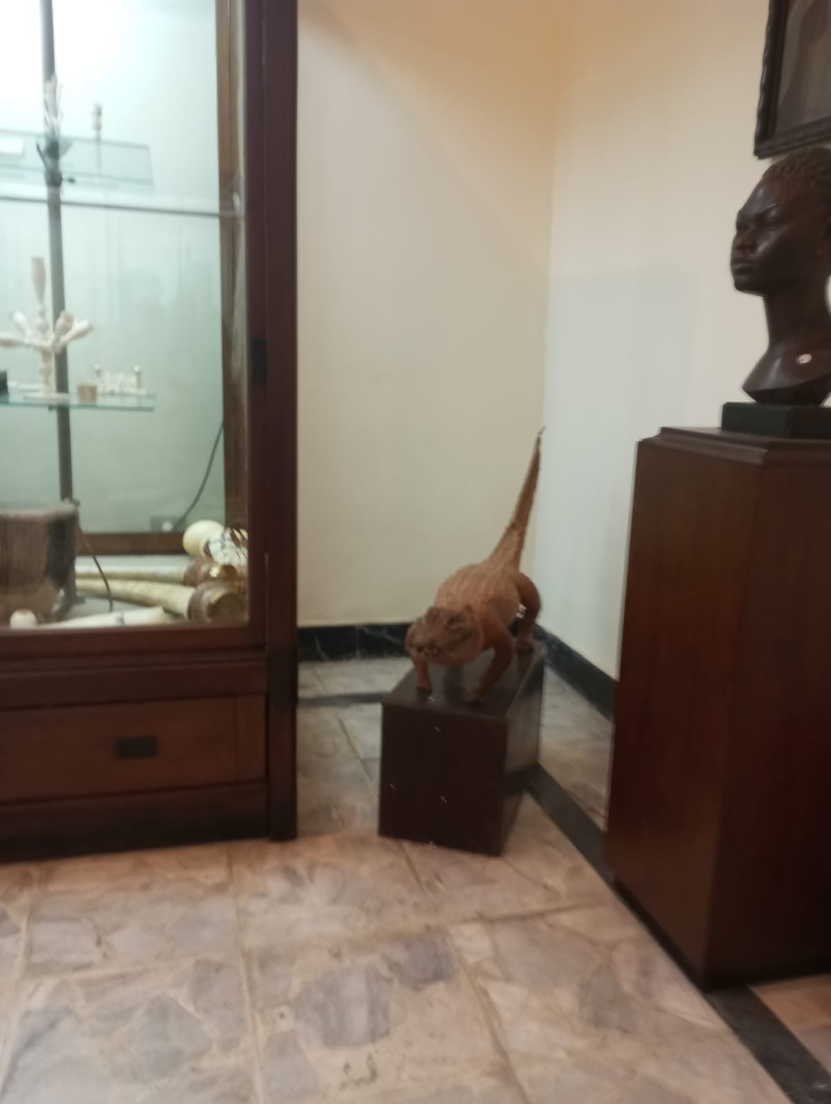 المتحف الزراعي