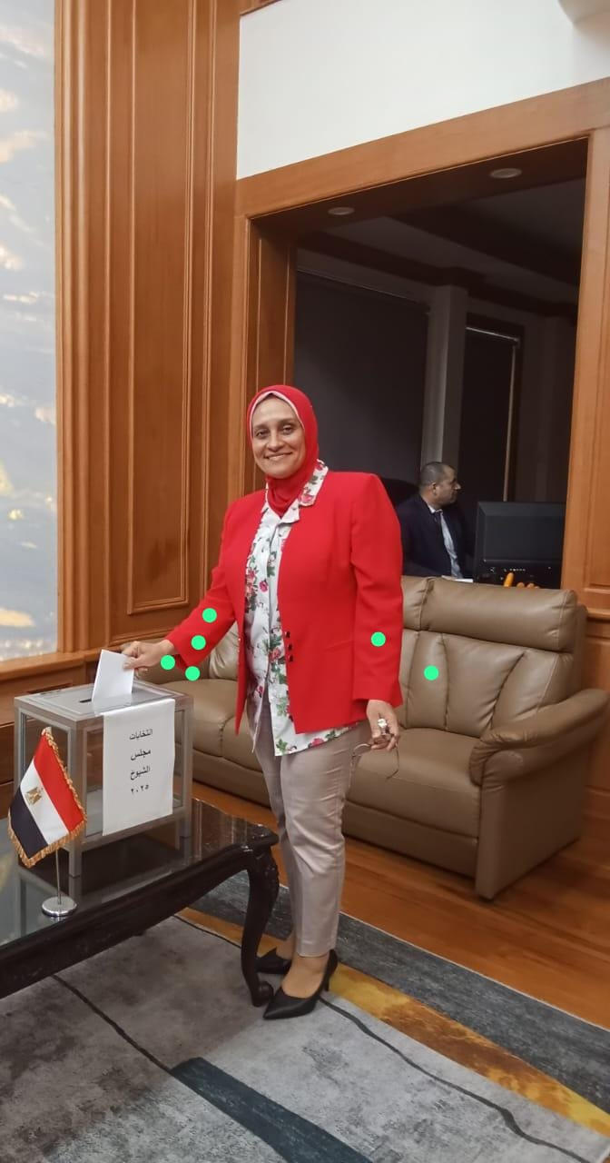 عملية التصويت بالخارج