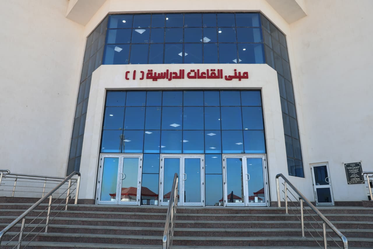 التعليم العالي