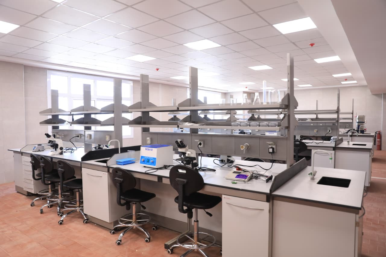 التعليم العالي