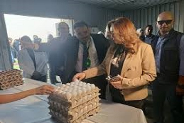 محافظ القليوبية ووزيرة التنمية المحلية يتفقدان مشروع 