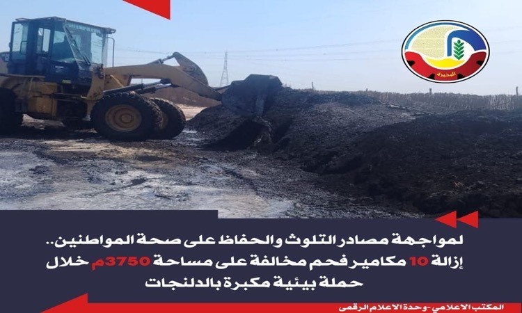 حملات بيئية في البحيرة تسفرعن إزالة 10مكامير فحم عشوائية بالدلنجات