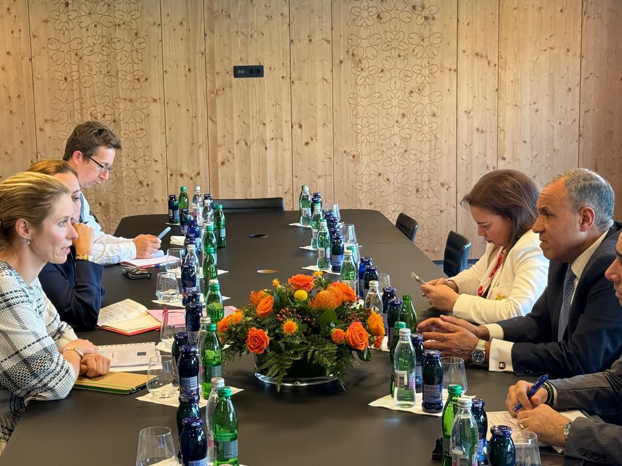 عبد العاطي والممثلة العليا الأوروبية