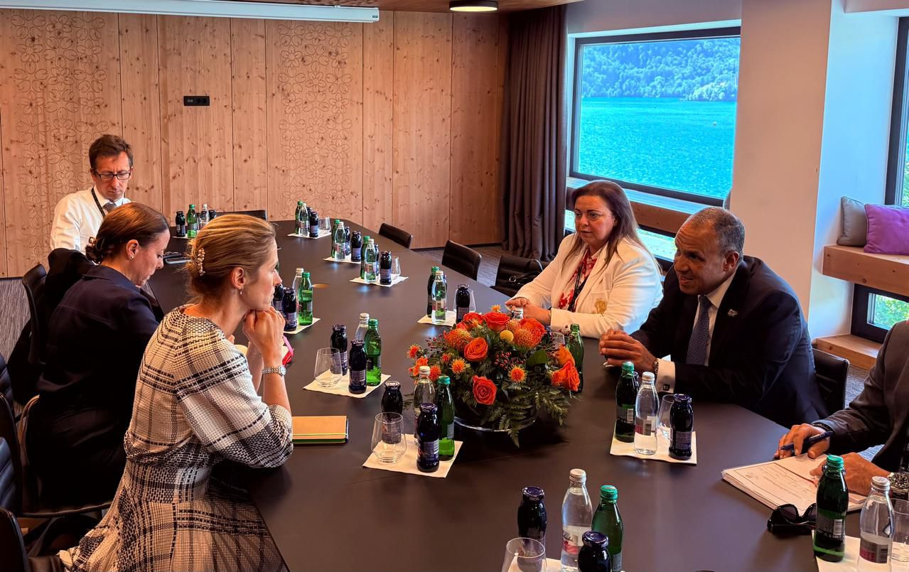 عبد العاطي والممثلة العليا الأوروبية