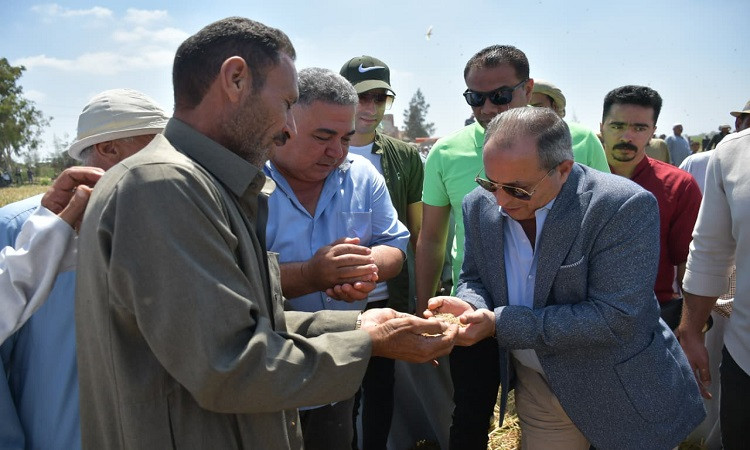 محافظ بورسعيد يشهد موسم حصاد الأرز بأحد الحقول الزراعية جنوب بورسعيد