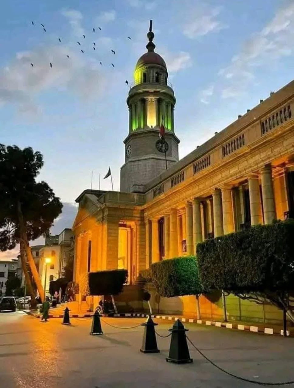 طب قصر العيني