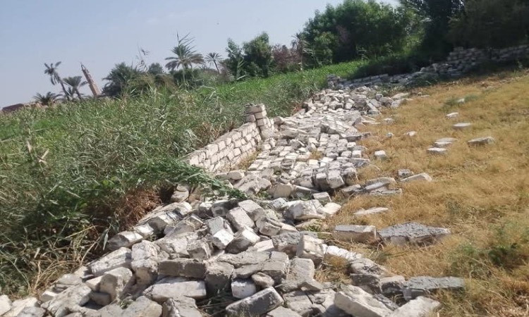 حملة مكبرة لإزالة التعديات على الأراضي الزراعية بالفيوم