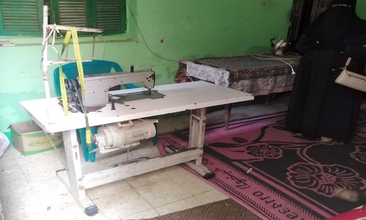 محافظ المنوفية: تمويل 192 مشروع ضمن مبادرة 