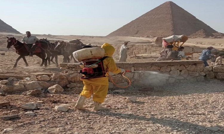 جهود يومية للحفاظ على صحة الدواب وتوفير تجربة سياحية آمنة بهضبة الأهرا