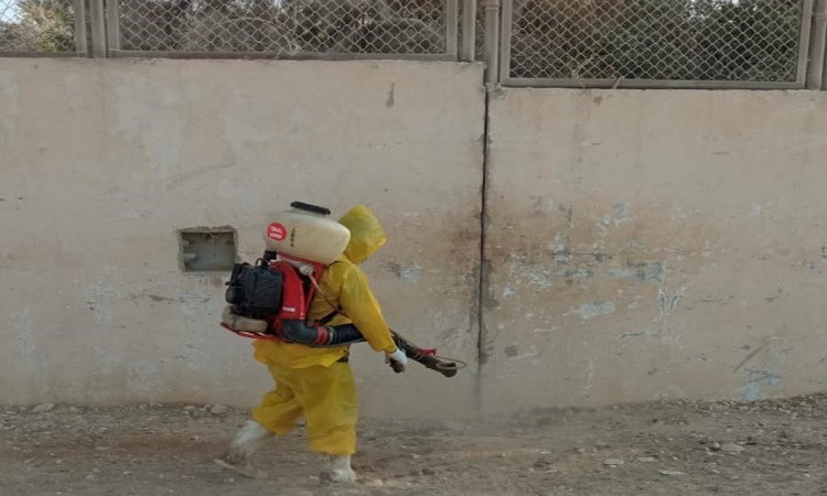 جهود يومية للحفاظ على صحة الدواب وتوفير تجربة سياحية آمنة بهضبة الأهرا