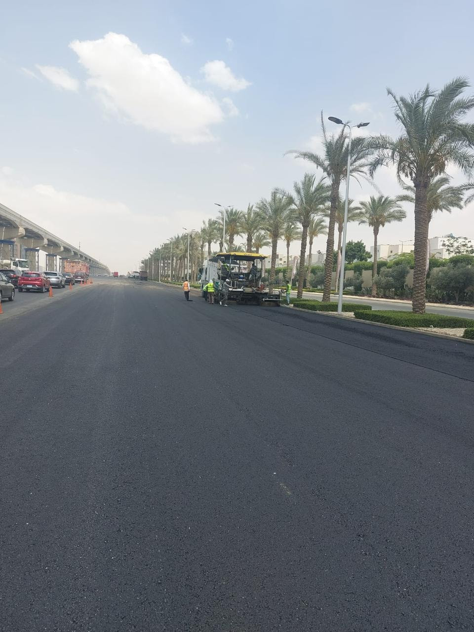 محور محمد بن زايد