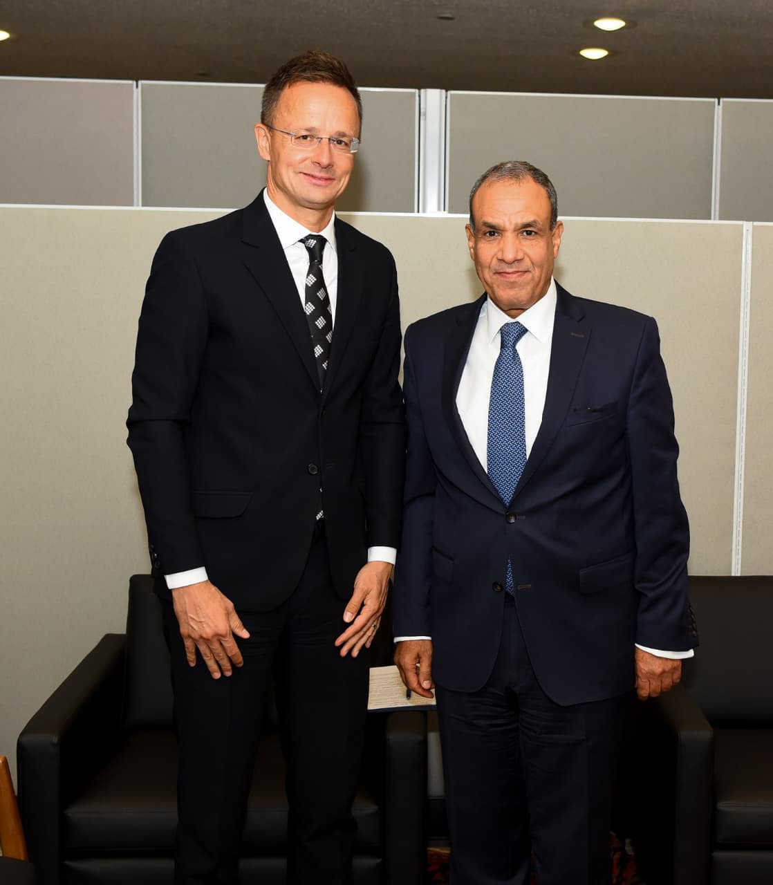 وزير الخارجية ونظيره المجري