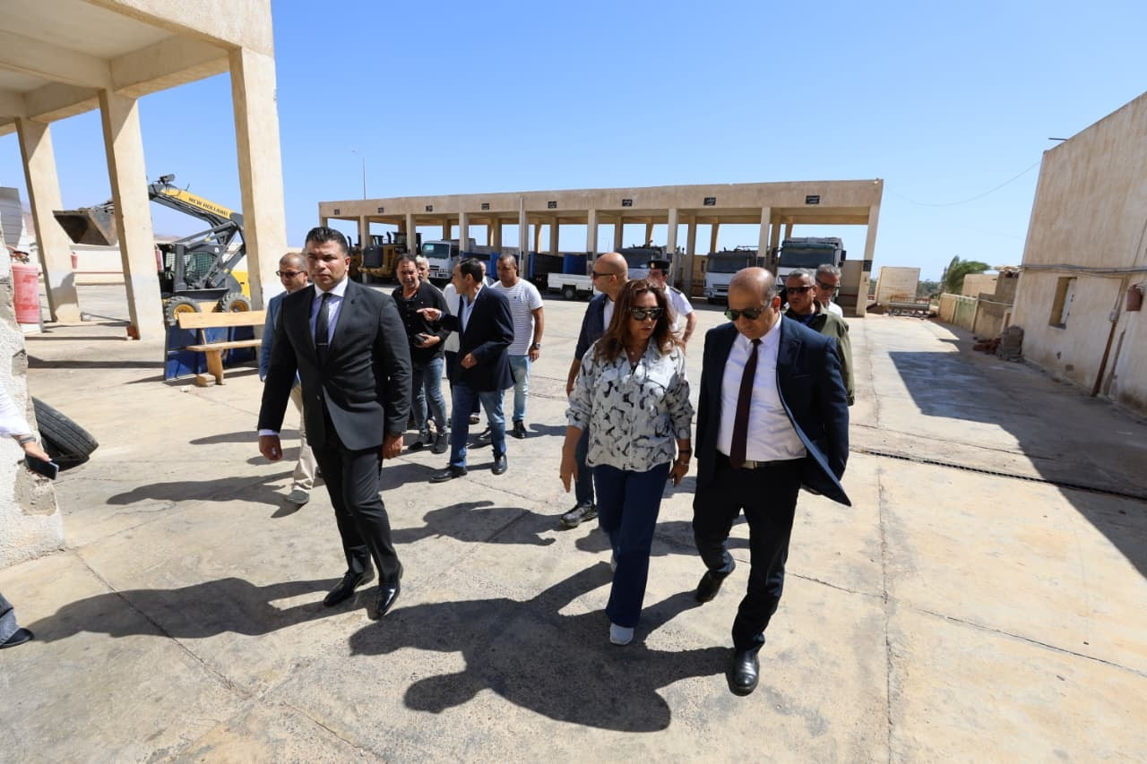 التنمية المحلية