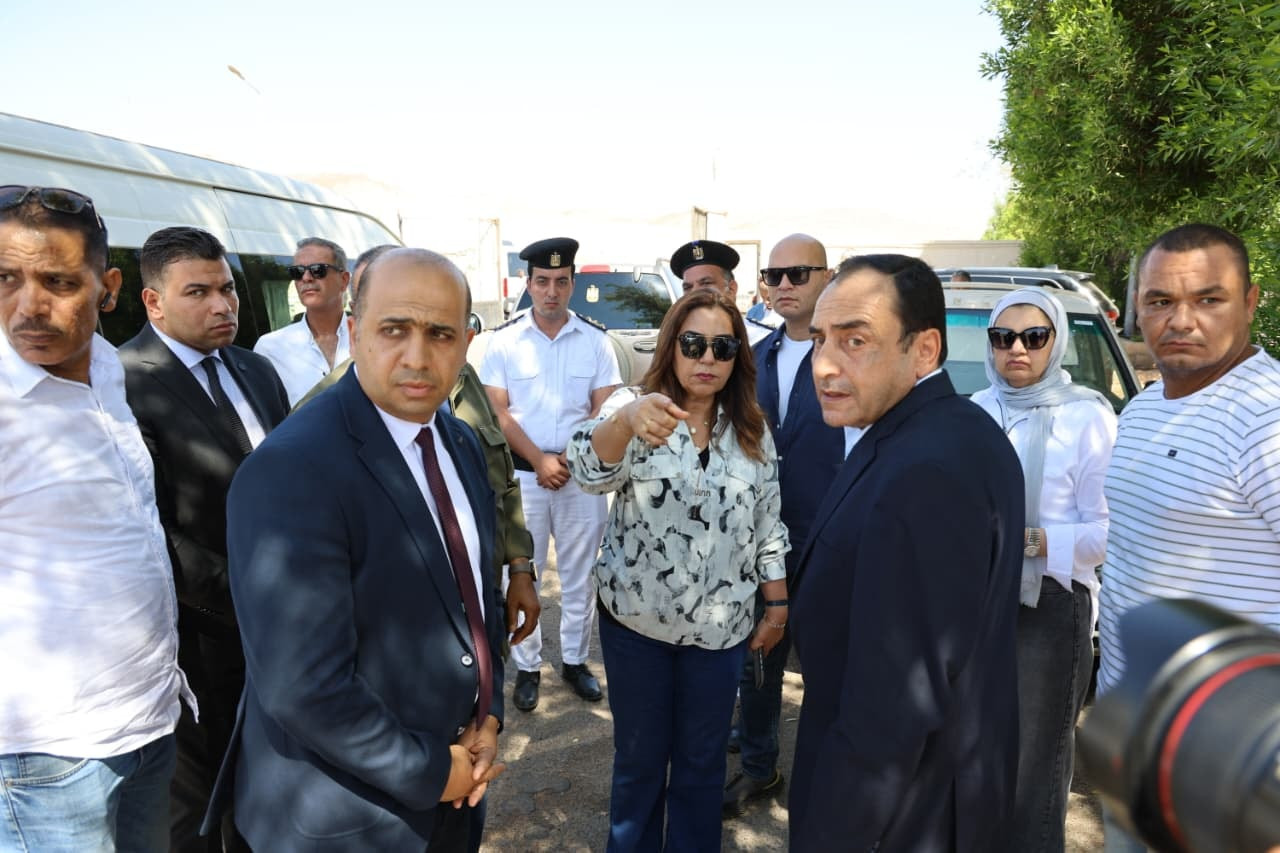 التنمية المحلية