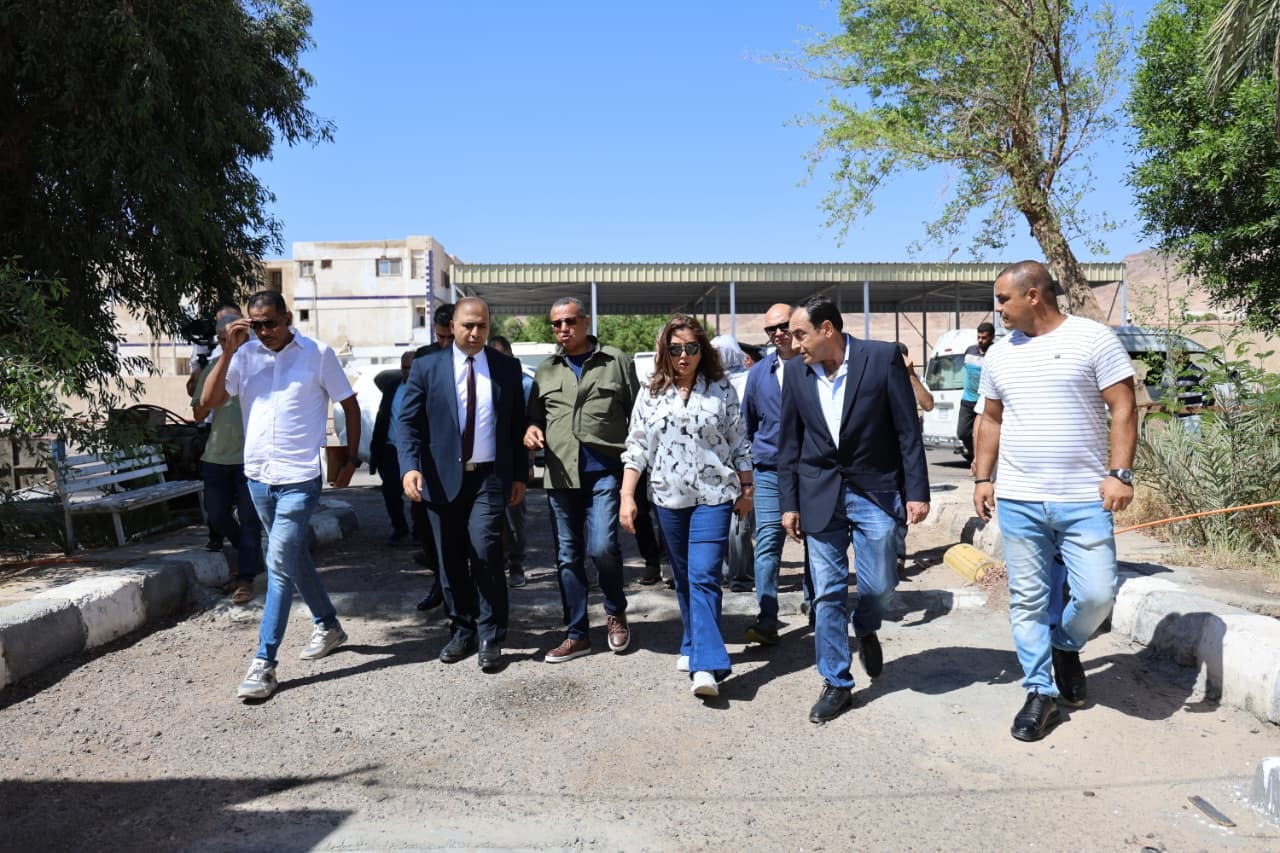 التنمية المحلية